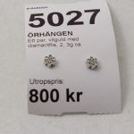 861 5027 Örhängen